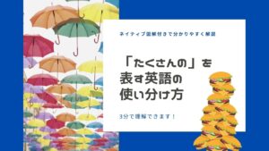 Mottainaiは通用しない もったいない を表現する方法を10個例文付きで紹介